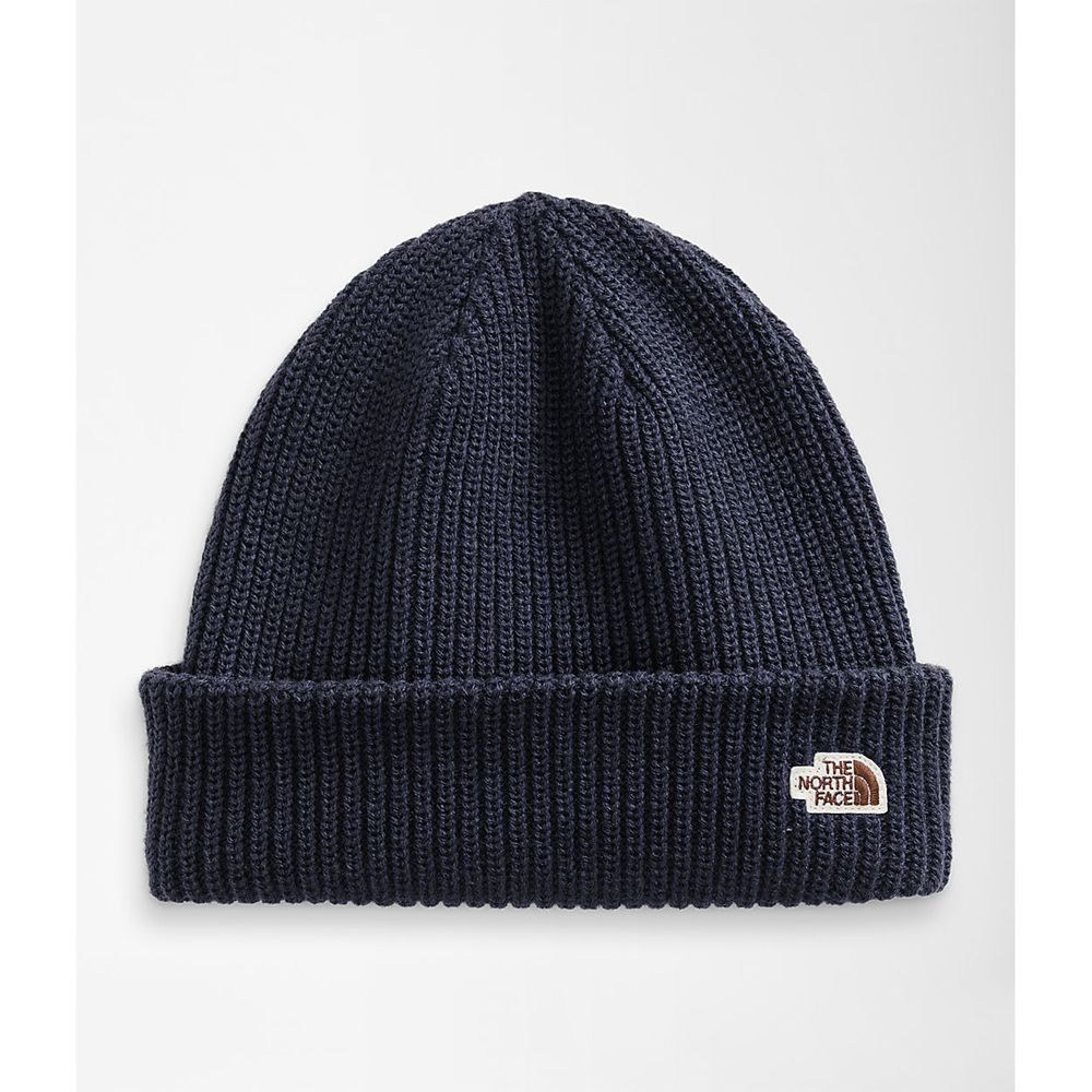 The North Face Beanies Mens Australia - The North Face Salty Dog Light Navy (BLF-821965)